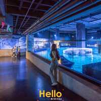 AQUARIA PHUKET 
