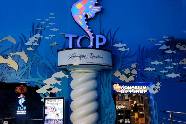 The Top Boutique Aquarium Trip George Town