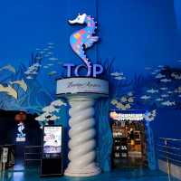 The Top Boutique Aquarium 