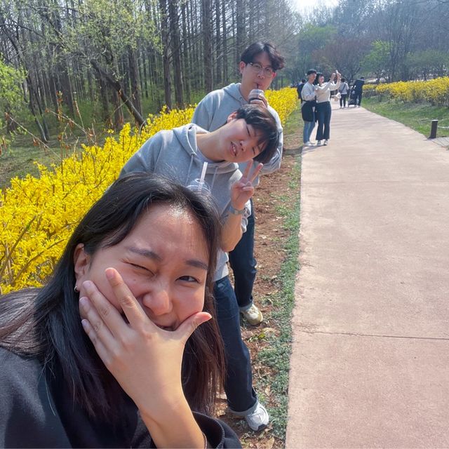 봄꽃 가득한 물향기 수목원🌿