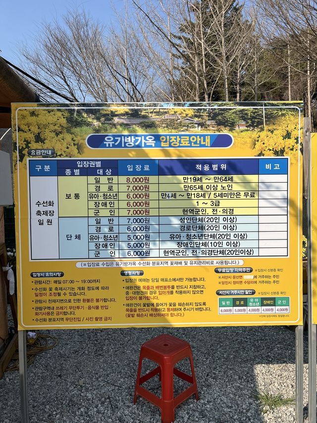 수선화 가득한 서산 유기방가옥💛