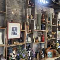 Artist House Bangkok