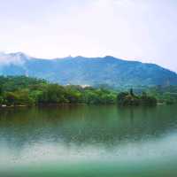 仙湖植物公園