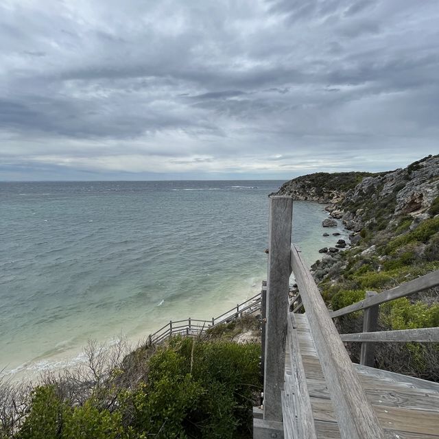 Rottnest Island Fremantle Perth 🇦🇺