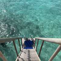 🏝️馬爾代夫 豪華全包度假村推介🏖️