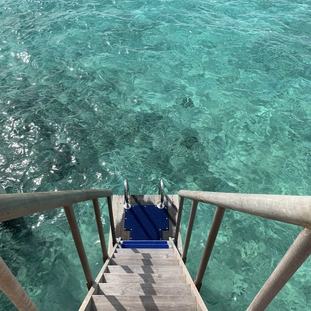 🏝️馬爾代夫 豪華全包度假村推介🏖️
