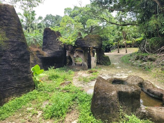 台灣必去的台北市立動物園