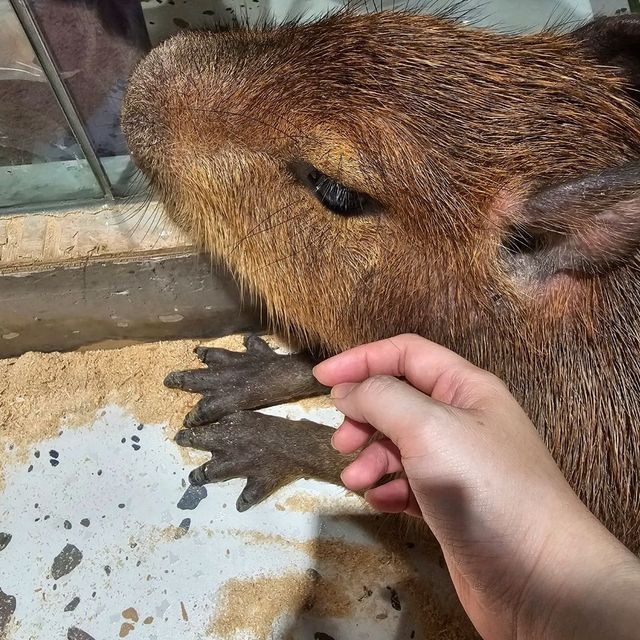 深圳 筍崗之行