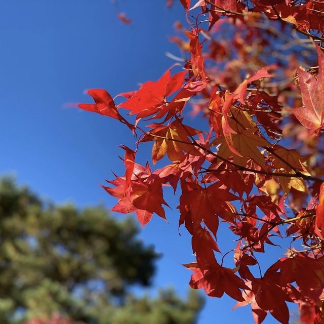 《北海道》四季を楽しめる公園🐥
