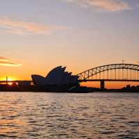 Sydney in a Frame 🖼️