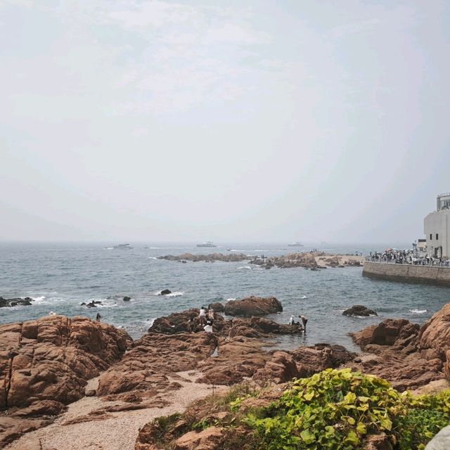 趕海季節小攻略: 小青島 趕海季節小攻略: 小青島