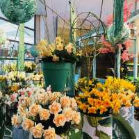 荷蘭🇳🇱盧瑟·花卉展覽活動&花藝創作比賽🌷🍀 Keukenhof 庫肯霍夫