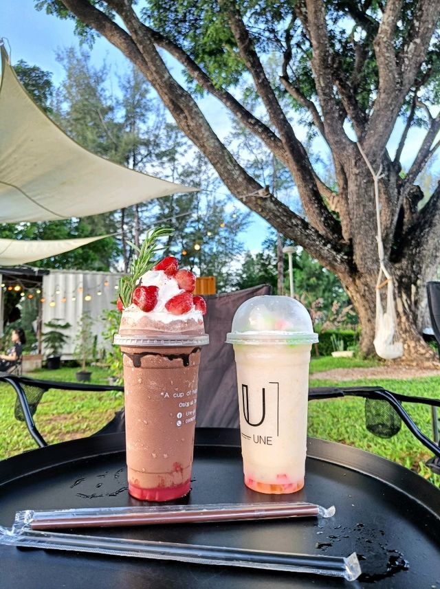 Une - อูเน่ สวนสนเขื่อนน้ำพุง