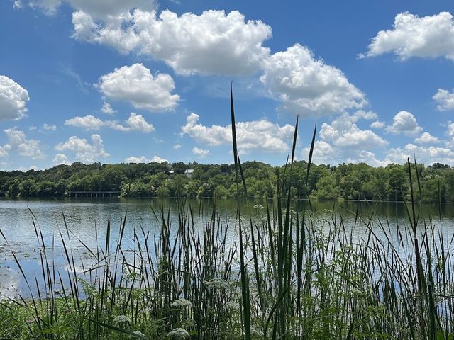 Lady Bird Lake Hike & Bike Trail 👣✨