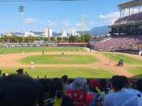 광주의 함성이 울려퍼지는 곳, 기아 챔피언스필드⚾️