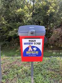 파주 강아지와 산책하고 피크닉 하기 좋은 운정호수공원⛲️