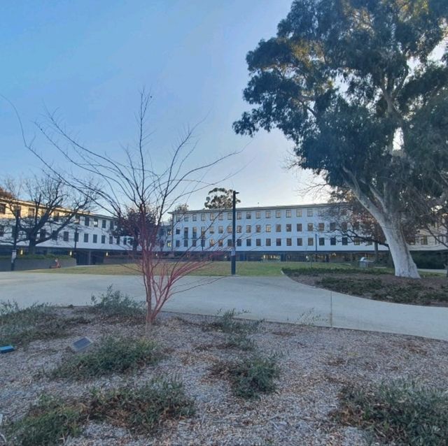 The Splendors of ANU University Campus