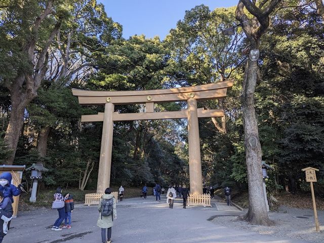 Autumn In Tokyo