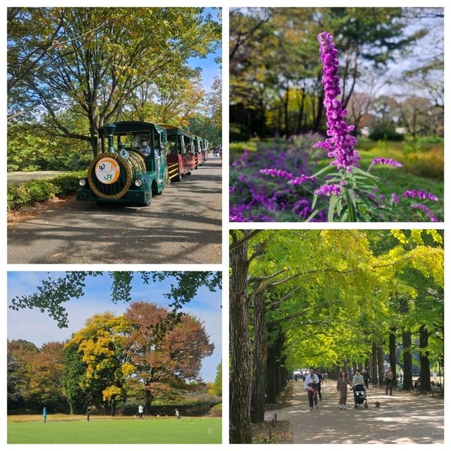 東京近郊好去處@昭和紀念公園