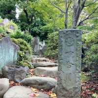 護国寺にある浅間神社の音羽富士