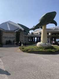 沖繩必到景點🐋美麗海水族館