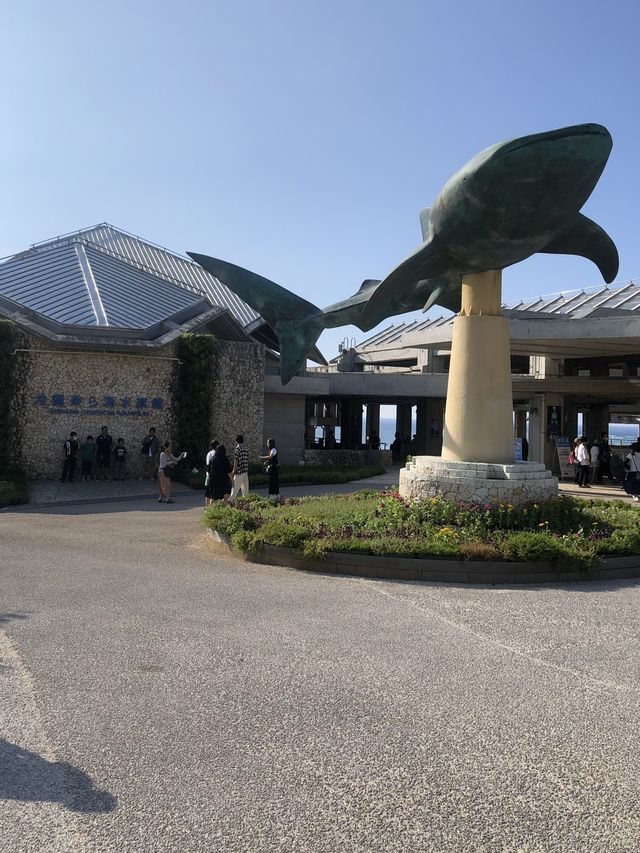 沖繩必到景點🐋美麗海水族館
