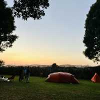 卓蘭山林野地露營區