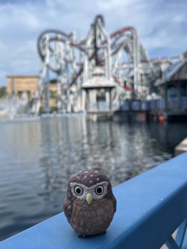 🇸🇬新加坡全世界最小的環球影城🐾懸掛式雲霄飛車🎢真刺激！