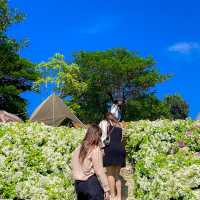 คาเฟ่ที่วิวสวยที่สุดในจังหวัดสระบุรี วิว360 องศา