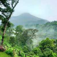 Alas veenuz in Mojokerto 