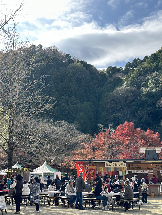 เที่ยวญี่ปุ่นฤดูใบไม้เปลี่ยนสี ที่หุบเขาKorankei🍁