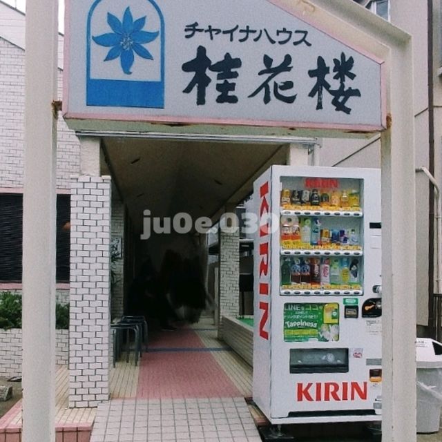 일본 마파두부 맛집 추천해요!!
