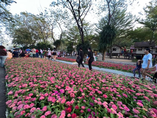 🌼เทศกาลดอกไม้ สวนหลวงร.9 กรุงเทพ🌺