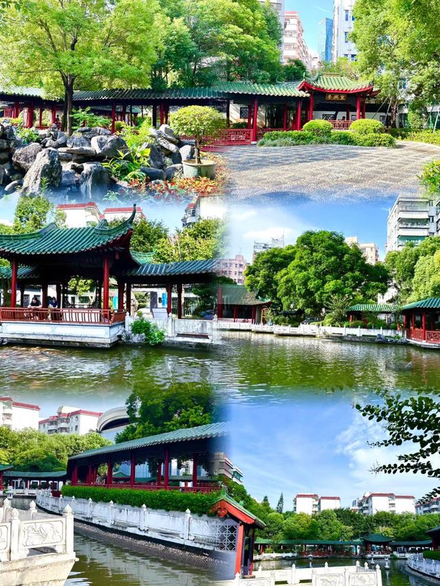 【2024】深圳錦繡園：花海仙境，尋找生命驚喜！