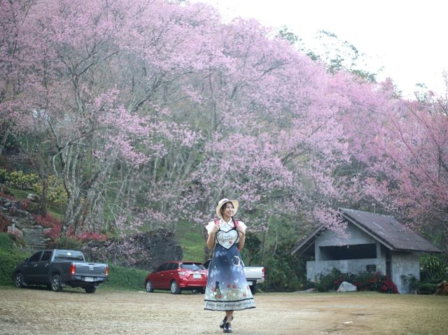 หน่วยจัดการต้นน้ำหงาว-งาว