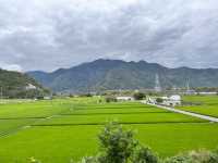 到台灣東海岸感受田園情懷
