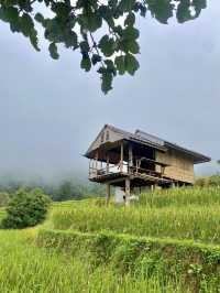 นาขั้นบันไดแม่แจ่ม 🌳🌳