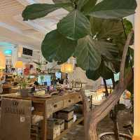 田浦エリア（カフェ・雑貨屋巡り）