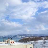 눈밭을 걷는 귀여운 펭귄이 있는 오타루 아쿠아리움