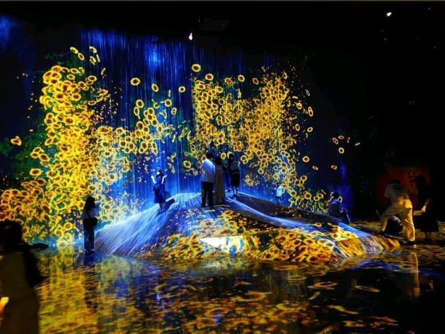 Amazing Lights