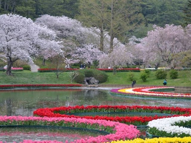 Hamamatsu Flower Park