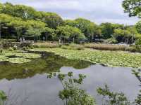 Maizuru Park
