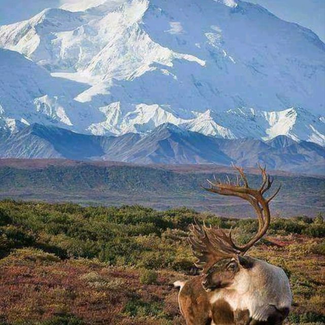 The beauty and the wilderness of Mongolia