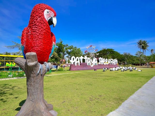 Pattaya Sheep Farm 