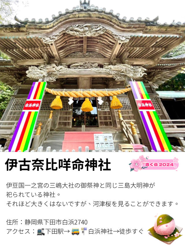 【伊古奈比咩命神社/静岡県】伊豆最古の宮と桜