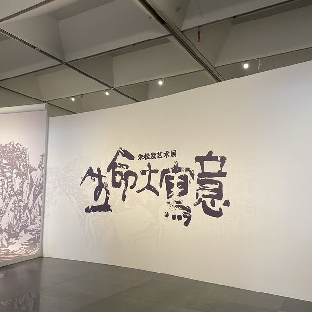 合肥｜🎨安徽省美術館🖼️