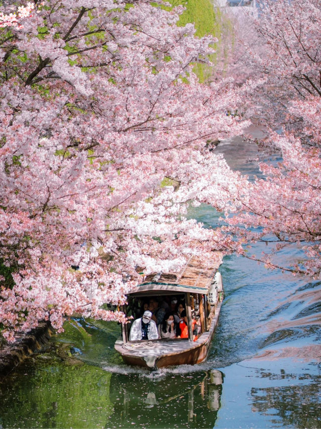 京都小眾游船🚢賞櫻🌸伏見十石舟