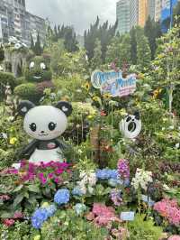 香港也有超美向日葵花海 香港花卉展覽2024