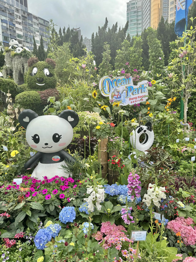 香港也有超美向日葵花海 香港花卉展覽2024