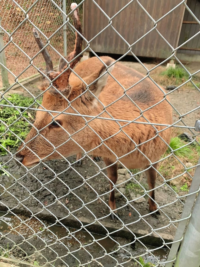 【福岡】春休みに行こう!!かわいすぎる縁結びお守りで恋愛運アップ